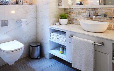 Toto Neorest Washlet SE/LE Test
